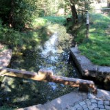 2309F 117 Aisch Quelle